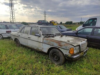 Mercedes W123 PIANO Diesel 240D - 2