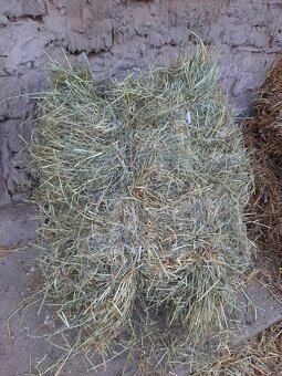 Seno malé balíky - 2