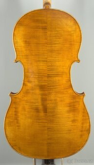 mistrovské violoncello Josef Holpuch - 2