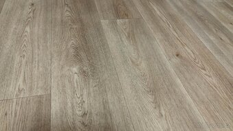 LINOLEUM S FILCEM - 2