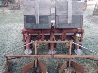 Babosed na sázení brambor - 2