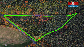 Prodej lesa v Luži, Luže - 2