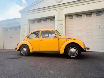 VW BROUK SUNNY BUG - 2