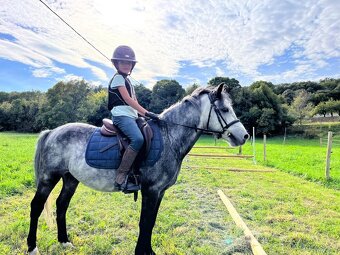 Sportovnich pony vel S - pro nejmenší děti - 2