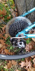 TREK alpha - 2
