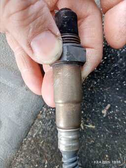 Lambda sonda TDI BLS 0281004042/043 - 2