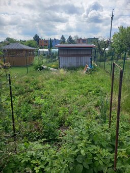 Zahrádka 181 m² Bohumín - 2