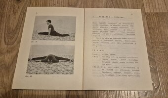 Trénink v bojových  uměních. - 2