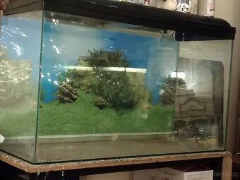 Akvarko na rybičky - 2