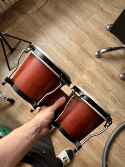 Bonga - 2