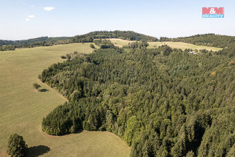 Prodej lesa, 8743 m², Valašská Senice - 2