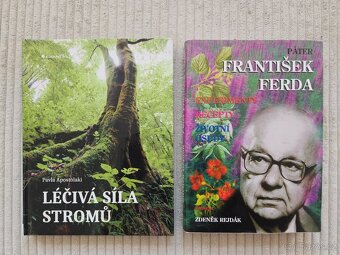 Knihy - Léčitelé, druidové, stromy, Reiki - 2