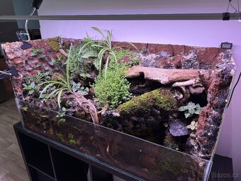 Otevřené přírodní Paludarium s kraby red tomato - 2