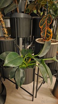 Stojan na kytky Viko - 2