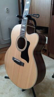 Nabízím el.akustiku Cort custom - 2