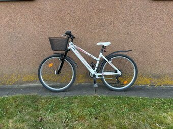 Dívčí kolo Leader Fox Maxim 26 - 2