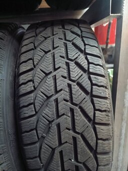 225/50/17 94H riken - 2