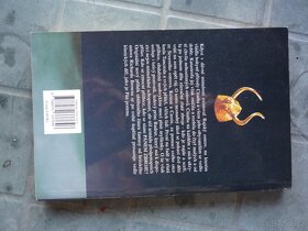 Kniha Pán zbroje Přilbice, autor Richard Brown, nak. Olympia - 2