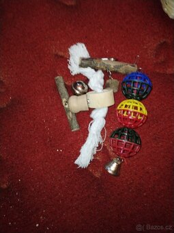 Vybavení to klece pro ptáky - 2