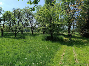 Prodej 2 stavebních pozemků - polosamota- Novohradské hory - 2