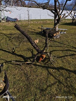 Voliera-vybaveni - 2