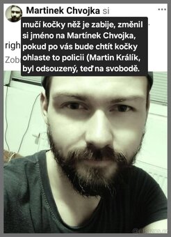 kočka ústí n.l. - 2