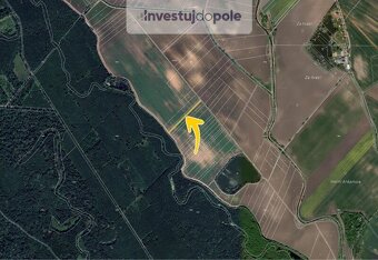 Prodej pole v k.ú. Kostice - 2