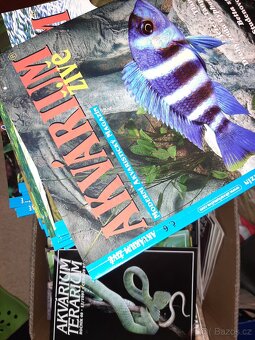 Akvaristika - 2