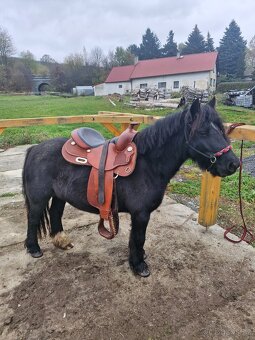 Pony kobylka - 2