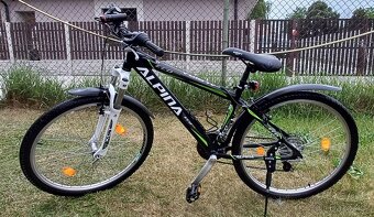 Horské kolo Alpina ECO M10 - 2