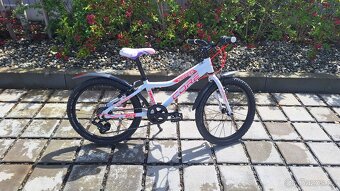 Kolo Core NIPPER 20" - 2