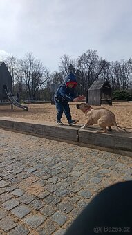 Staford a Ritbech - 2