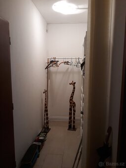 Prodej bytu - v rezervaci - 2