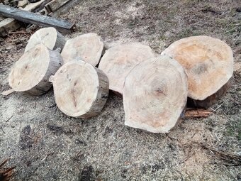 Dřevo na stůl, řez 20cm průměr až 80cm - 2