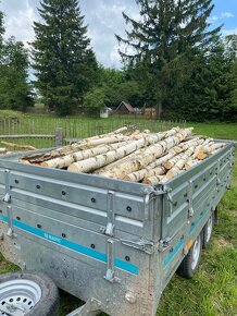 Palivové dřevo tvrdé,měkké.. - 2