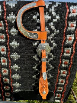 Show uzdečka Tom Zajac - 2