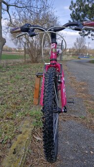 Superior Paint 20 - 2