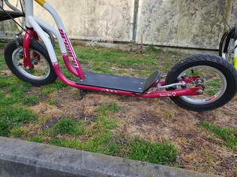 Koloběžka Arcore TWELVEMAX - 2