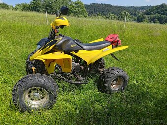 Shineray 250 - 2