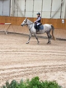 Pony B do sportu - 2