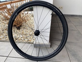 DT Swiss Endurance LN - 2