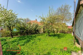 Prodej, pozemky/zahrada, 227 m2, Lipec, Slepotice, Pardubice - 2