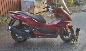 Honda pcx 125 - 2