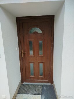 Dveře plastové - 2