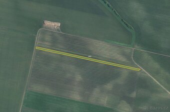 Sady, vinice, prodej, Terezín, Hodonín - 2