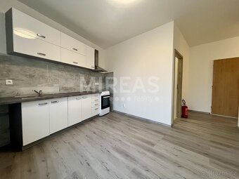 Benátky nad Jizerou, pronájem podkrovního bytu 2+1, 58 m2, o - 2