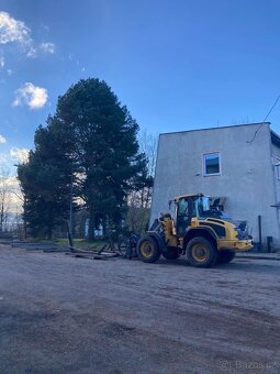 Volvo L45 h - 2