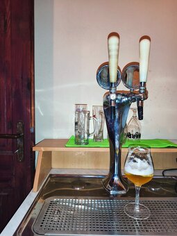 Výčepní zařízení, bar - 2