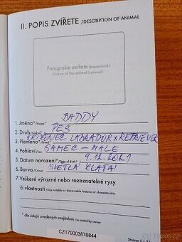 Labrador křížený s retrívrem - 2