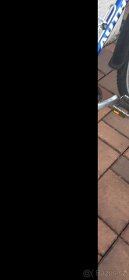 Kolo Author Classic - 2